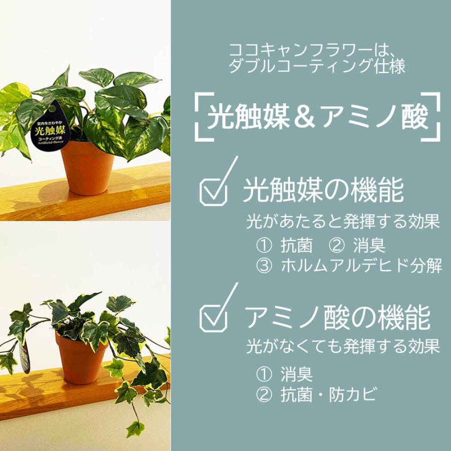 光触媒 フェイクグリーン 観葉植物 人工観葉 卓上 ミニ 小さい 光触媒 フェイクグリーン 観葉植物 人工観葉 卓上 ミニ 小さい