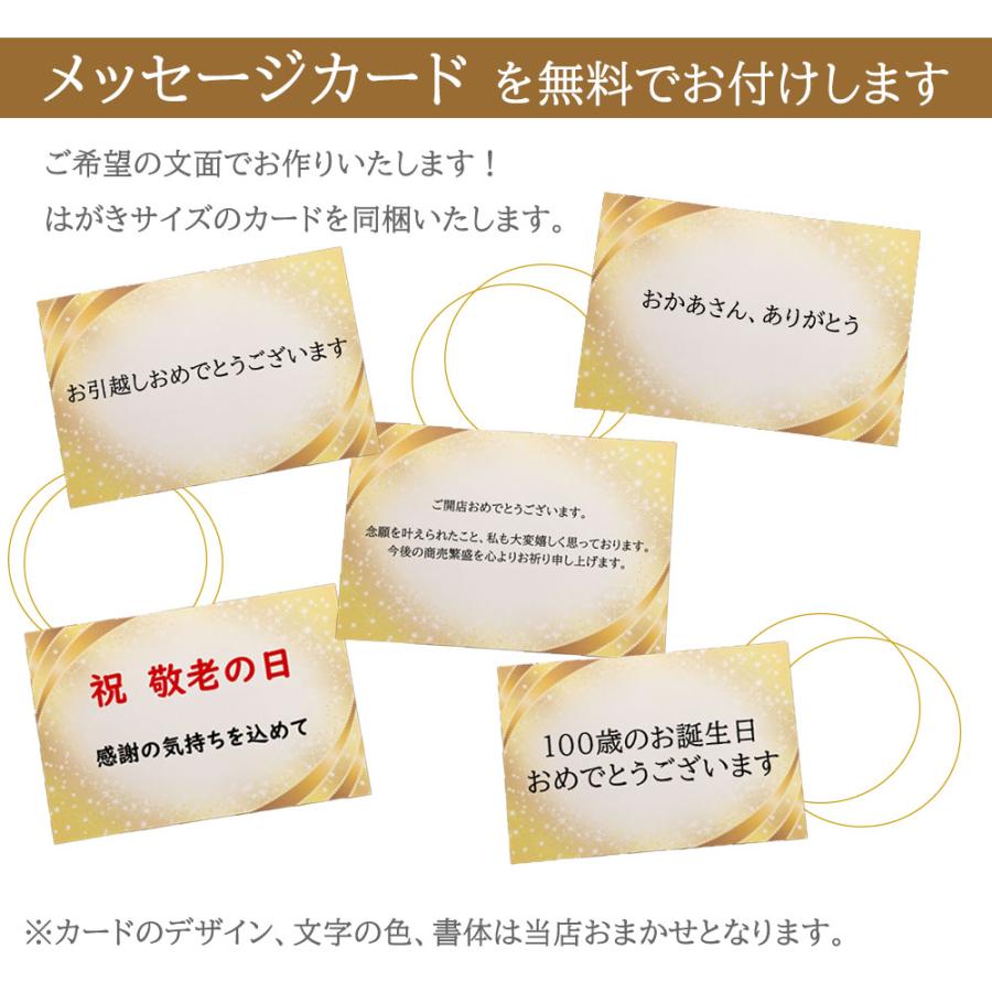 光触媒 フェイクグリーン 2個セット アイビー＆ポトス 観葉植物 造花 鉢植え 卓上グリーン インテリア プレゼント ギフト 送料無料 |  | 06