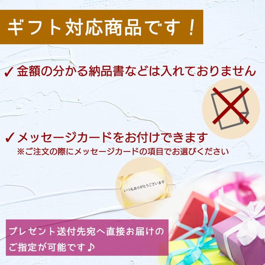 光触媒 フェイクグリーン 2個セット アイビー＆ポトス 観葉植物 造花 鉢植え 卓上グリーン インテリア プレゼント ギフト 送料無料 |  | 07