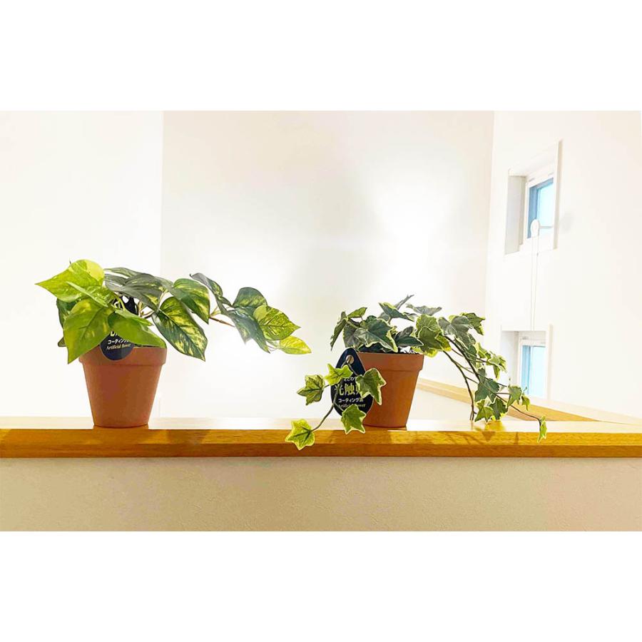 光触媒 フェイクグリーン 観葉植物 人工観葉 卓上 ミニ 小さい 光触媒 フェイクグリーン 観葉植物 人工観葉 卓上 ミニ 小さい