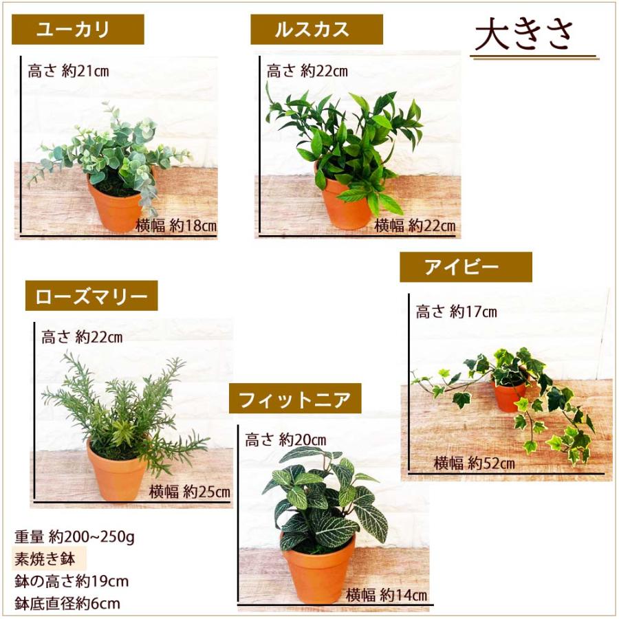 光触媒 フェイクグリーン 5個セット 卓上サイズ 観葉植物 インテリア 鉢植え おしゃれ 造花 ギフト プレゼント 送料無料 |  | 01
