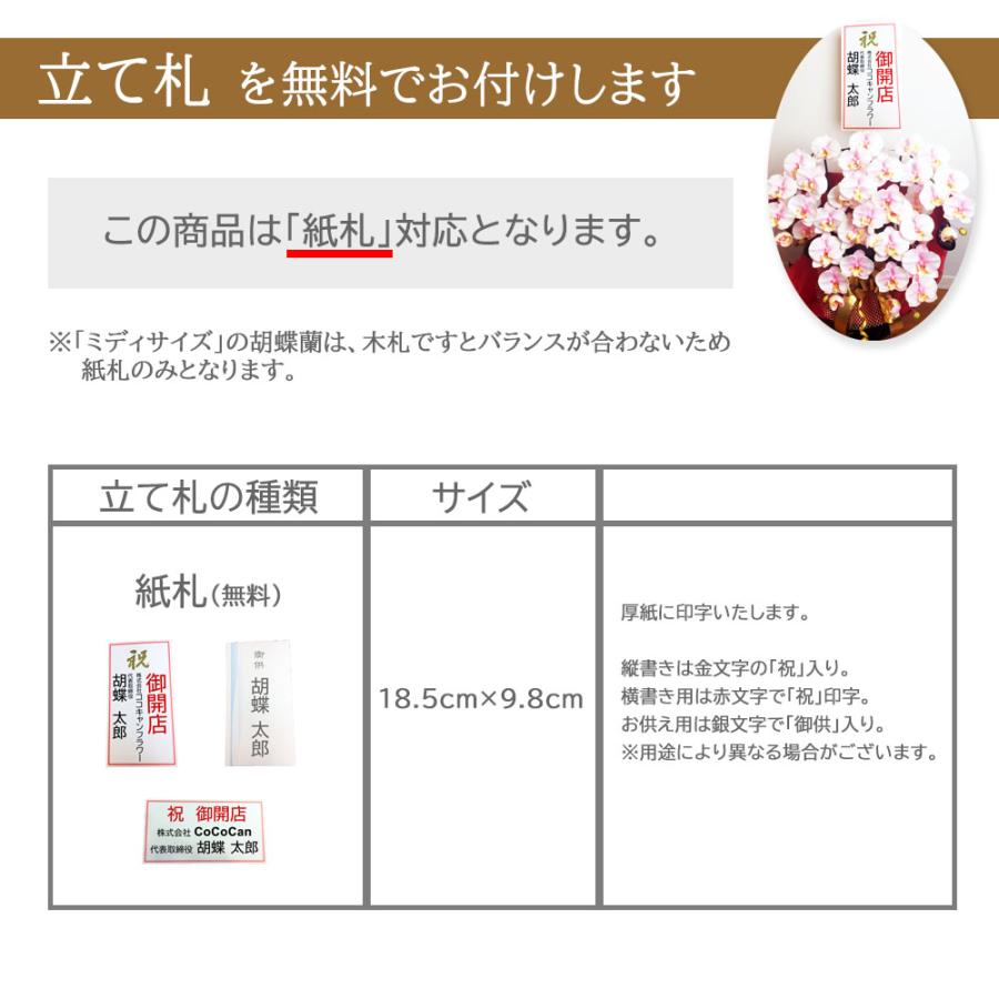 フェイクグリーン モンステラ 造花 観葉植物 おしゃれ インテリアグリーン 南国風 ナチュラル 玄関 リビング 引越し祝い 開店祝い 新築祝い プレゼント ギフト |  | 04