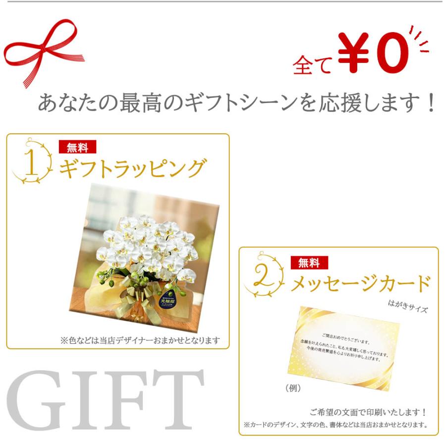 光触媒 胡蝶蘭 ミディ ダブルカラー 2色展開 造花 ギフト お祝い 鉢植え インテリア フェイクフラワー 送料無料 |  | 08