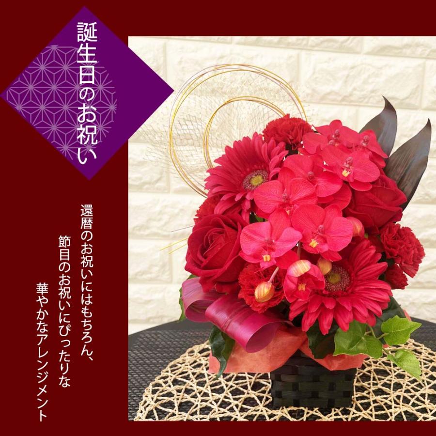 還暦祝い 胡蝶蘭 アレンジメント 光触媒 赤い花 プレゼント 長寿祝い お祝い ギフト 枯れない造花 薔薇 送料無料 赤 レッド 古希 喜寿 |  | 01