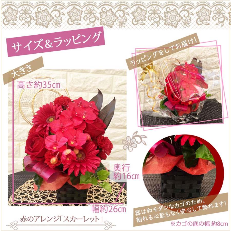 還暦祝い 胡蝶蘭 アレンジメント 光触媒 赤い花 プレゼント 長寿祝い お祝い ギフト 枯れない造花 薔薇 送料無料 赤 レッド 古希 喜寿 |  | 03