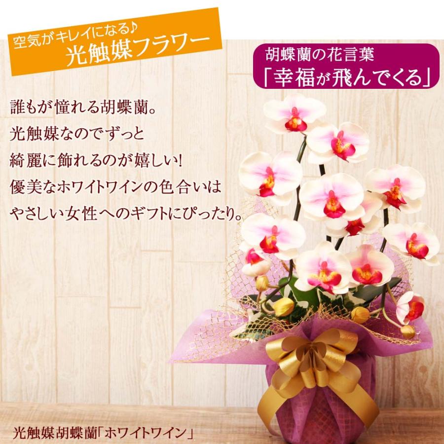 光触媒 胡蝶蘭 アレンジ 華あそび 彩り ミニ ミディ ギフト お祝い インテリア 枯れない花 ホワイト ワイン |  | 02