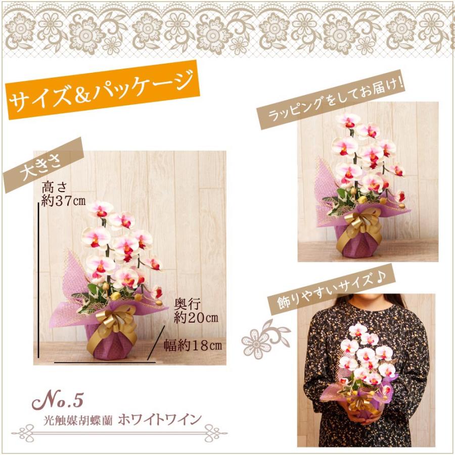 光触媒 胡蝶蘭 アレンジ 華あそび 彩り ミニ ミディ ギフト お祝い インテリア 枯れない花 ホワイト ワイン |  | 03
