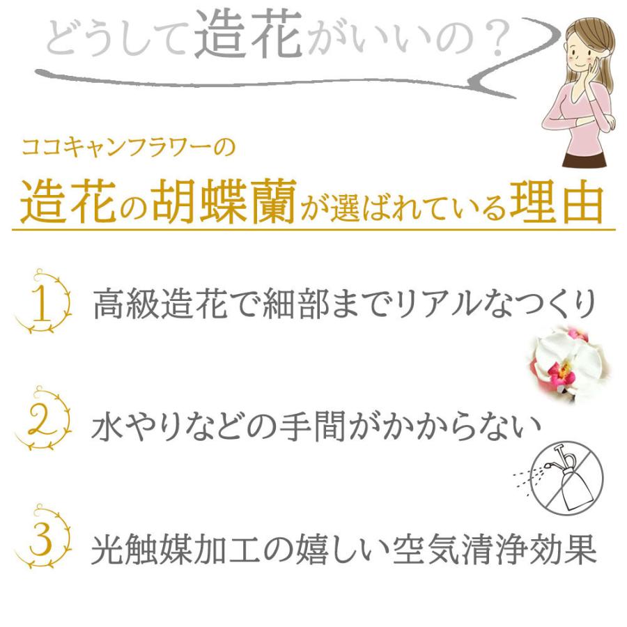 光触媒 胡蝶蘭 アレンジ 華あそび 彩り ミニ ミディ ギフト お祝い インテリア 枯れない花 ホワイト ワイン |  | 05