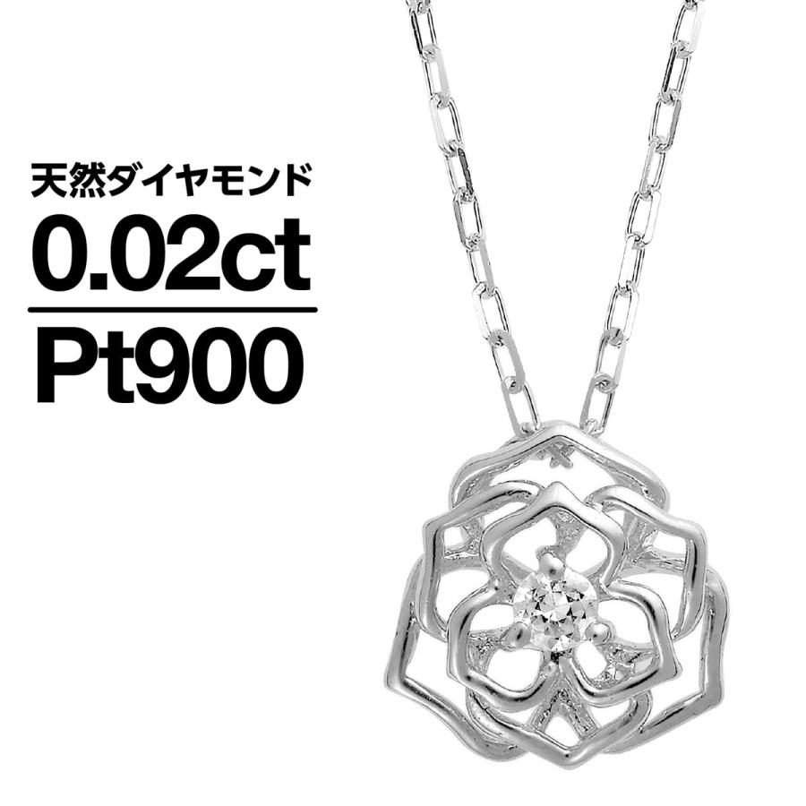 51867-pt
