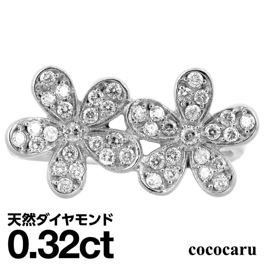 dr3993-pt