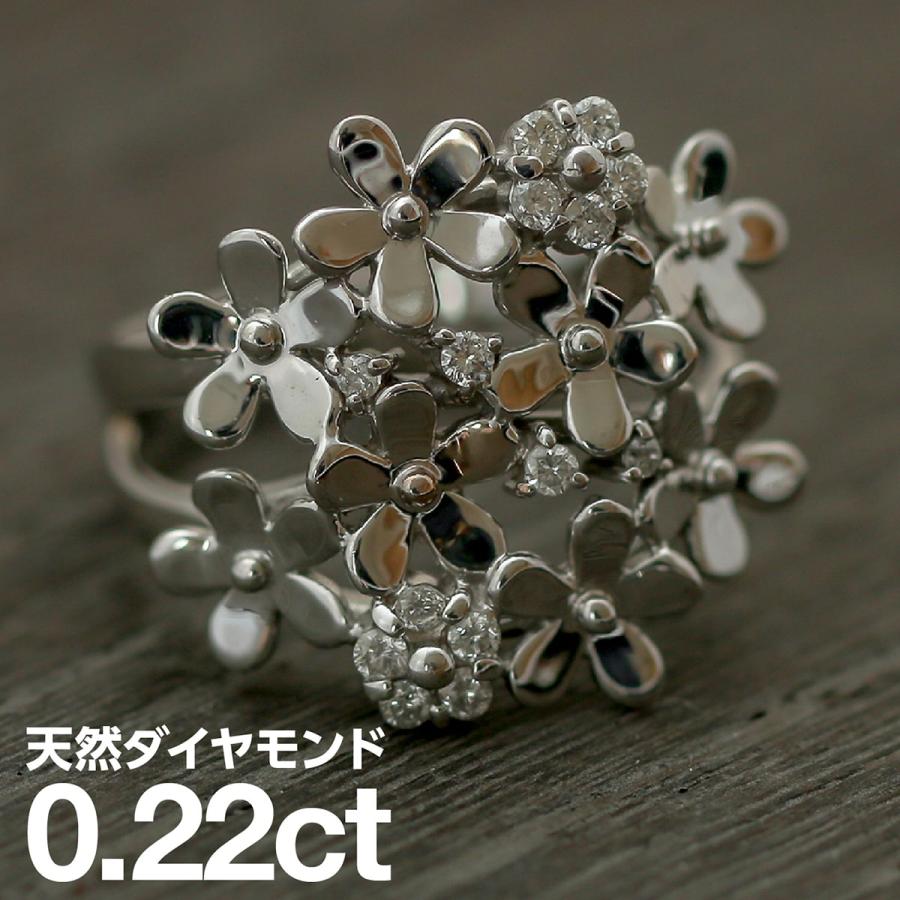 dr5164-k10