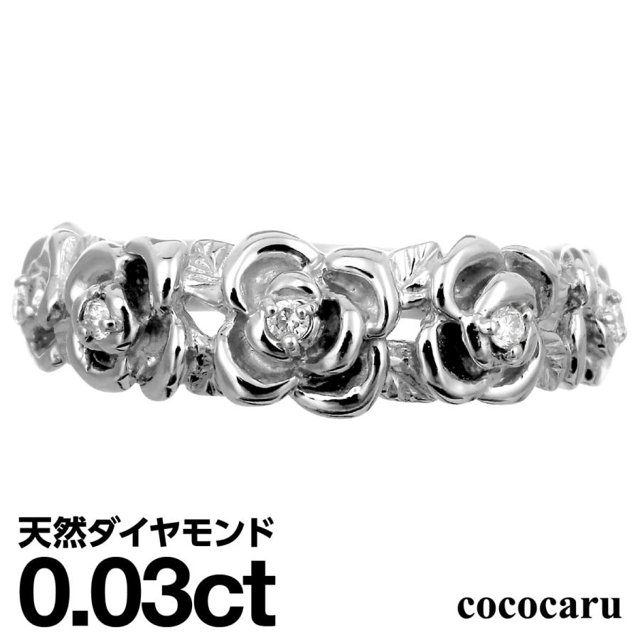 dr5570-k10