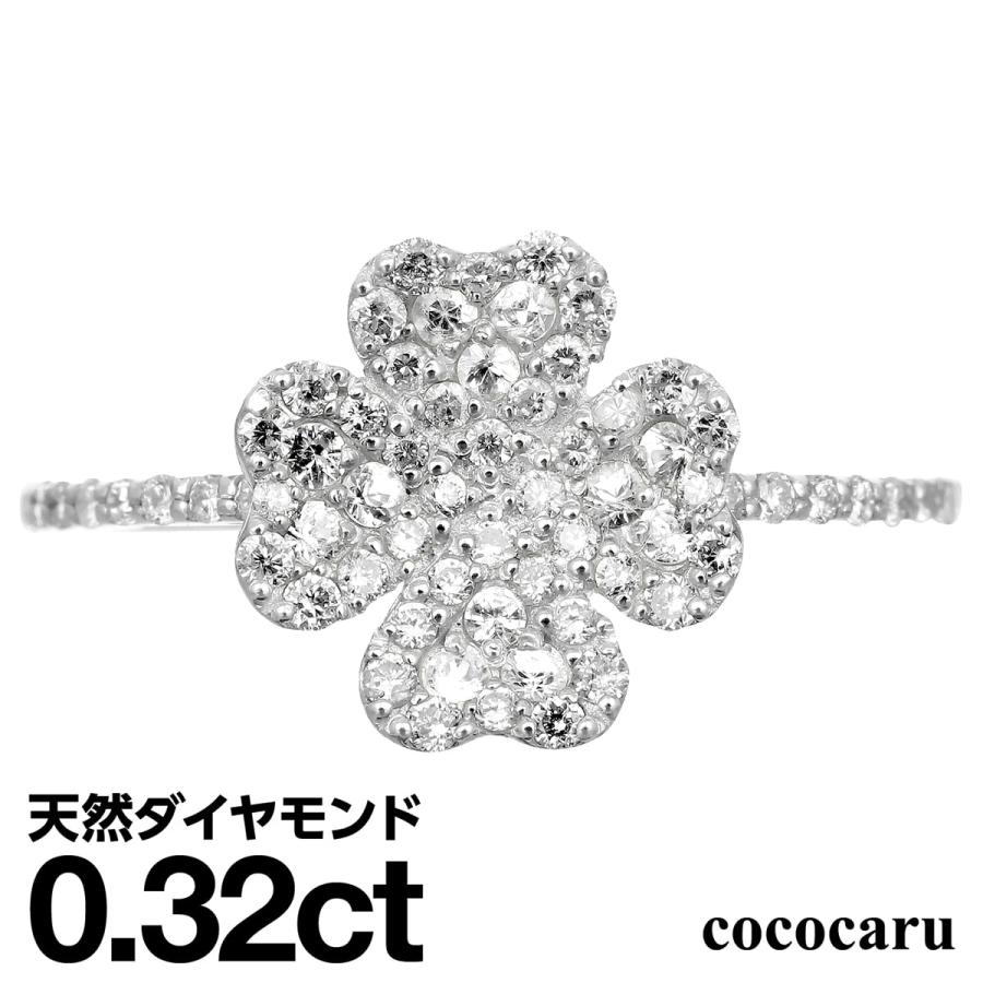 dr5954-pt