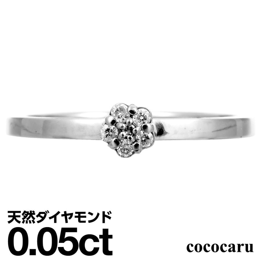 dr5977-pt