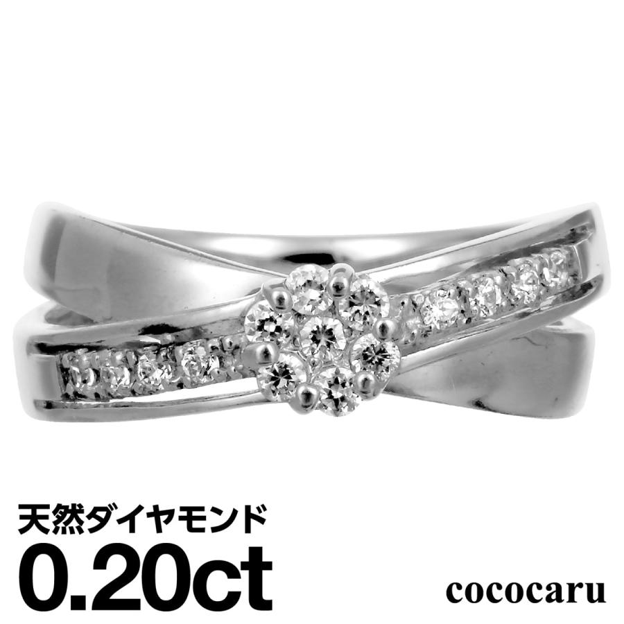 dr6047-pt