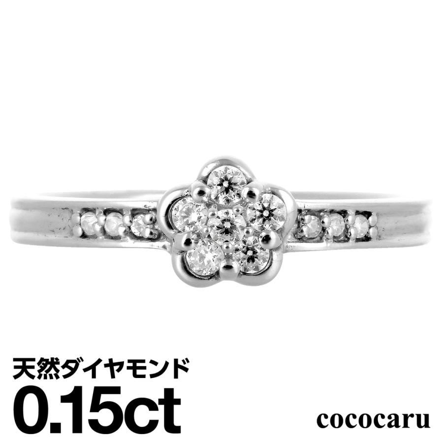 dr6089-pt