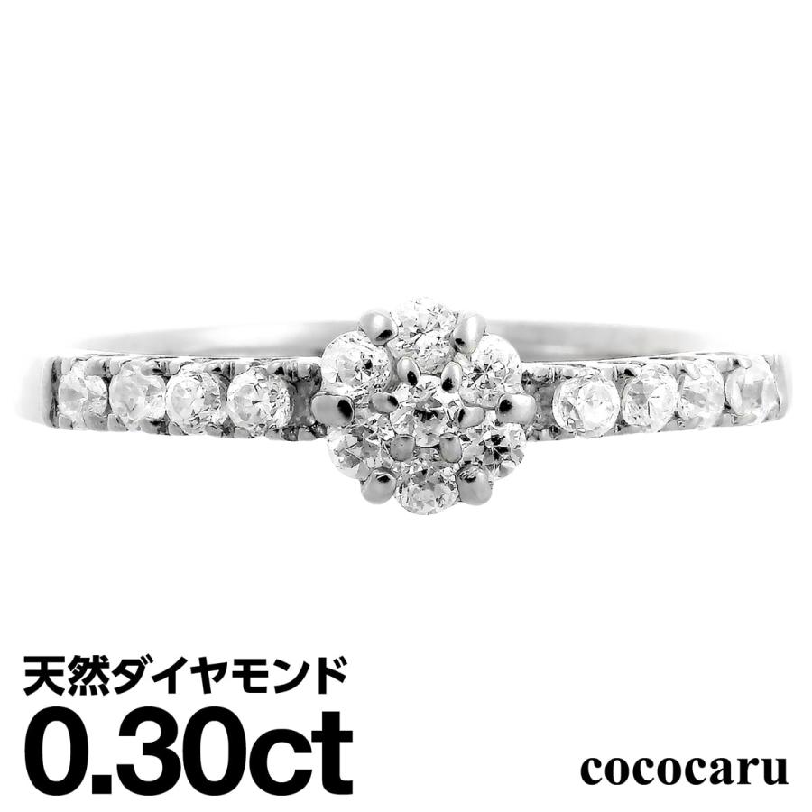 dr6099-pt