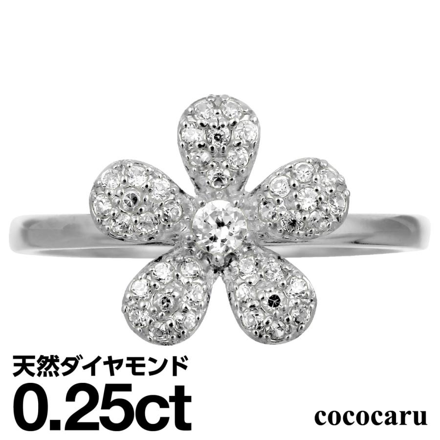 dr6191-k18