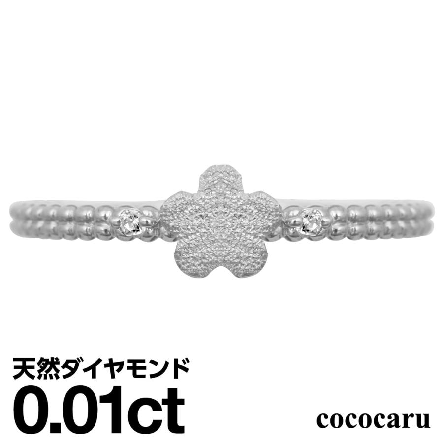 dr6481-pt