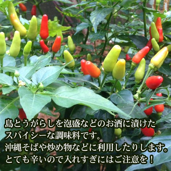 手作りコーレーグス 島とうがらし 150g　/沖縄お土産 コーレーグース AGO |  | 04