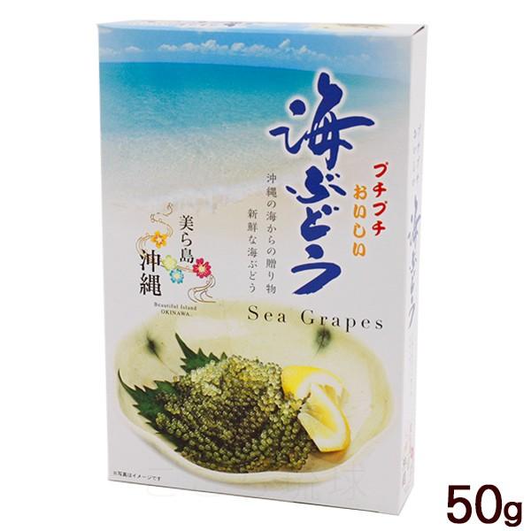 海ぶどう タレなし 50g （常温発送） /宮城商店 : 沖縄お土産通販