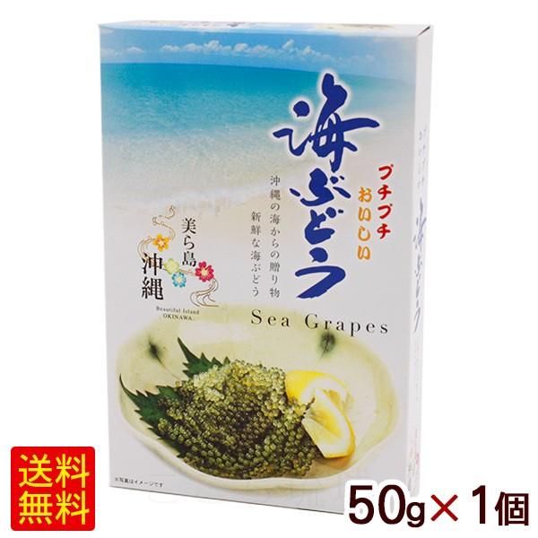 海ぶどう タレなし 50g×1個 （常温発送）　/宮城商店 （M便）ポイント消化｜cocochir