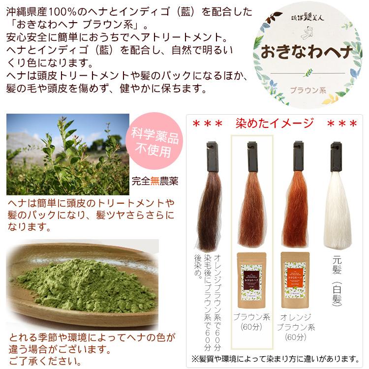 おきなわヘナ ブラウン系 100g×1袋 /沖縄子育て良品 天然染毛料 ヘナ