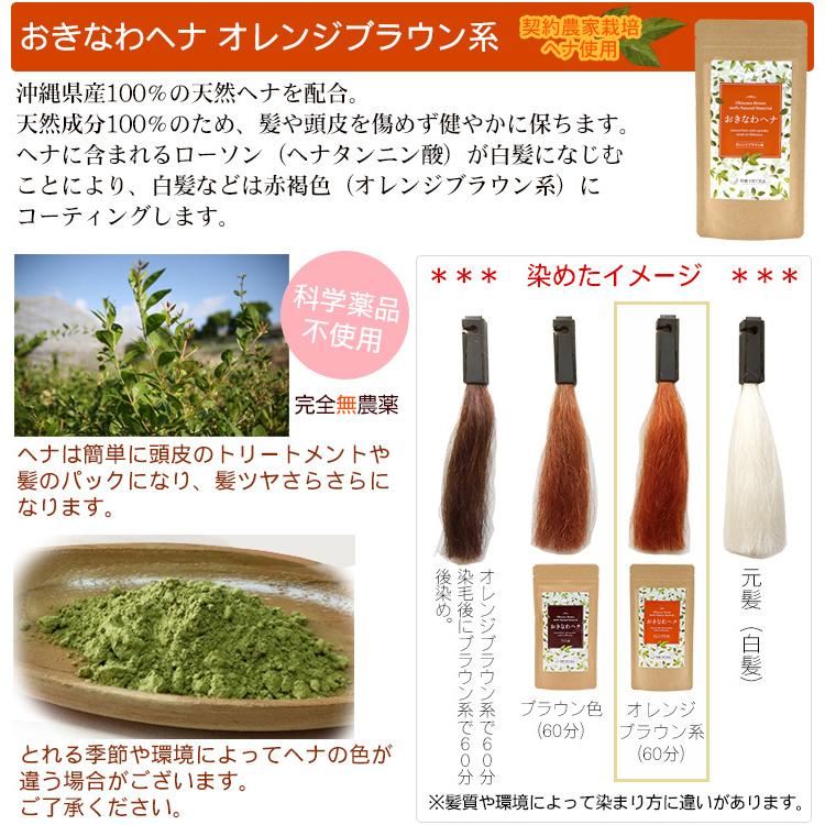 おきなわヘナ 100g×2袋（選べるセット） /沖縄子育て良品 天然染毛料