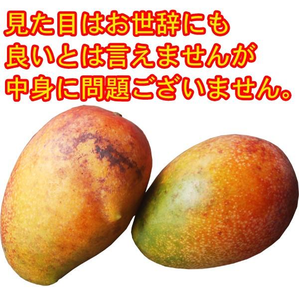 訳ありマンゴー1.5kg（4〜6玉） 沖縄産 : 沖縄お土産通販 ここち琉球