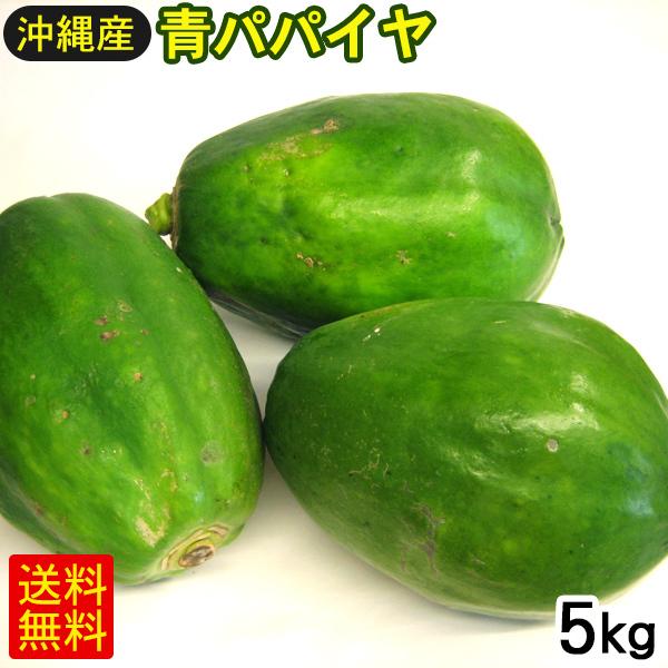 青パパイヤ 5kg 沖縄産 : 沖縄お土産通販 ここち琉球 - 通販 - Yahoo