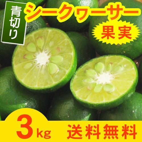 青切りシークワーサー果実 約3kg : 沖縄お土産通販 ここち琉球 - 通販 - Yahoo!ショッピング