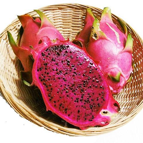 沖縄県産 ドラゴンフルーツ赤 B品 約300g×24 約7.2kg【常温便】① 2026年発送】熱帯果樹生産組合の完熟ドラゴンフルーツ 【レッド