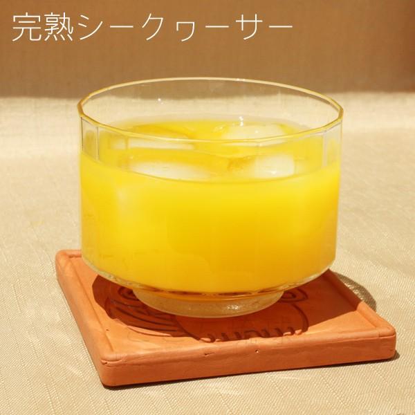 勝山シークワーサー 完熟 果汁100% 300ml×6本 /完熟シークヮーサージュース原液|cocochir|02