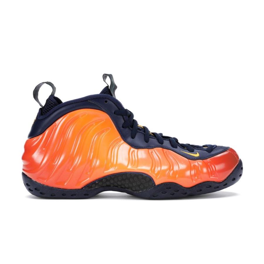 送料無料（北海道・沖縄県除く！） NIKE ナイキ エア フォームポジット