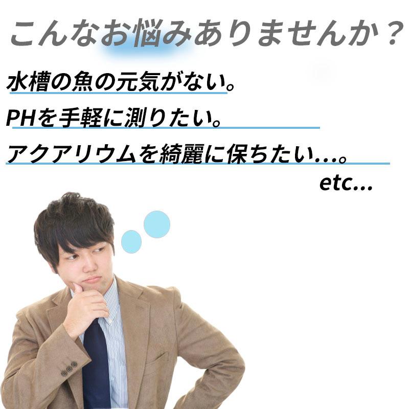 デジタルph測定器 Ph計 水質管理 アクアリウム 水質検査 実験キット A Cocochi屋 通販 Yahoo ショッピング