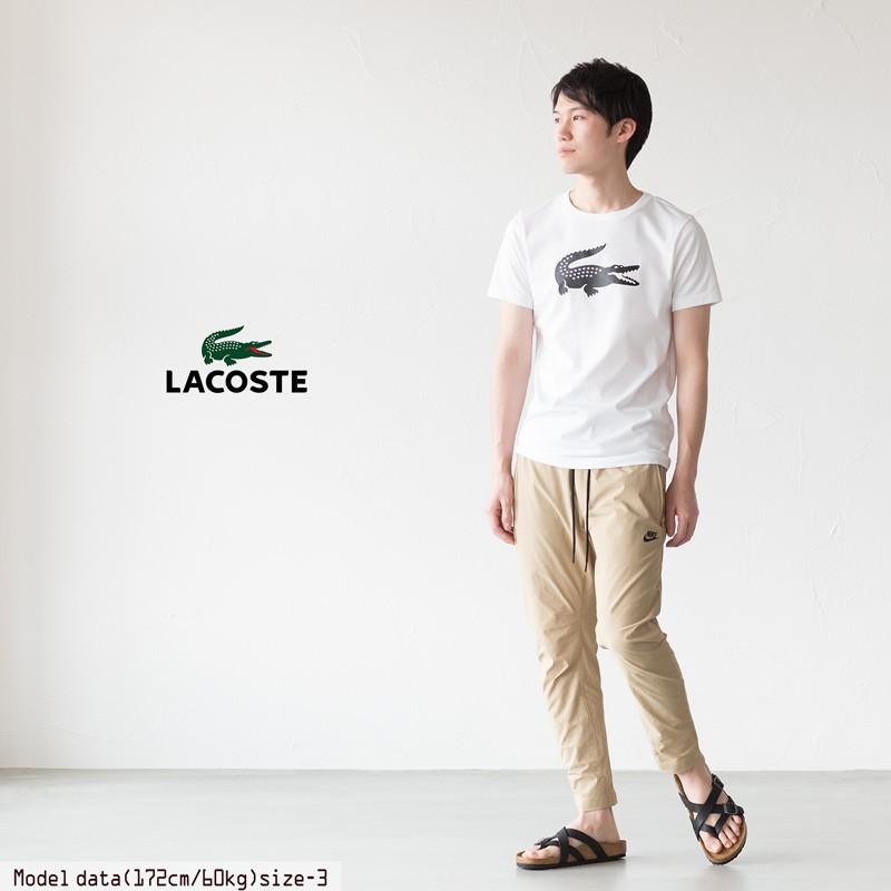 ラコステ デカワニ Tシャツ クルーネック TH3377L ネコポス可