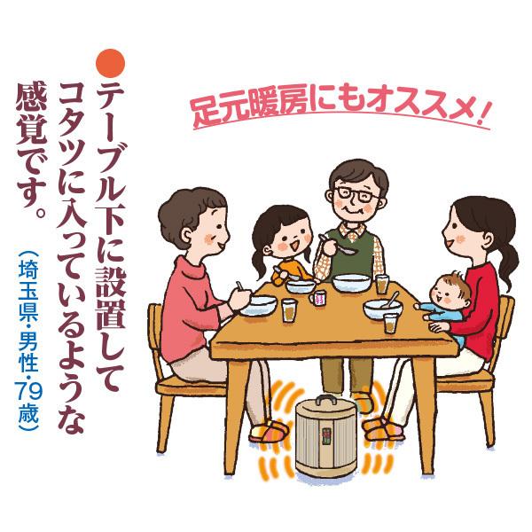 暖話室　送料無料 ココチモ 遠赤外線パネルヒーター 暖話室1000型 幸せヒーター だんわしつ 談話室 乾燥 温風 節電 純国内生産 |  | 03