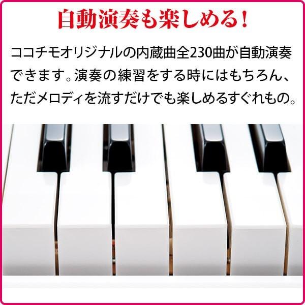 バースデー 記念日 ギフト 贈物 お勧め 通販 カシオ 大人の楽らくキーボード Lk 516 送料無料 ピアノ キーボード 自動演奏 光る鍵盤 ランキングtop10