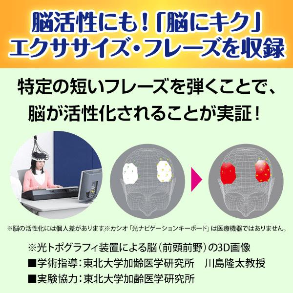 CASIO カシオ 楽らくキーボード LK-536 ココチモオリジナル CASIO カシオ 楽らくキーボード LK-536 ココチモオリジナル