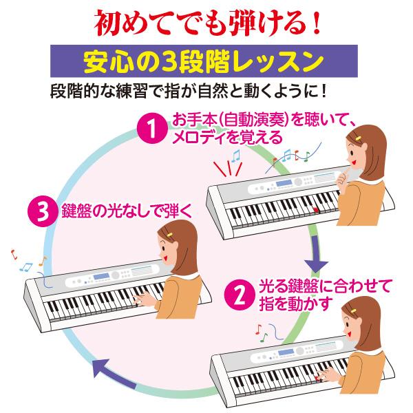 CASIO カシオ 楽らくキーボード LK-536 ココチモオリジナル CASIO カシオ 楽らくキーボード LK-536 ココチモオリジナル