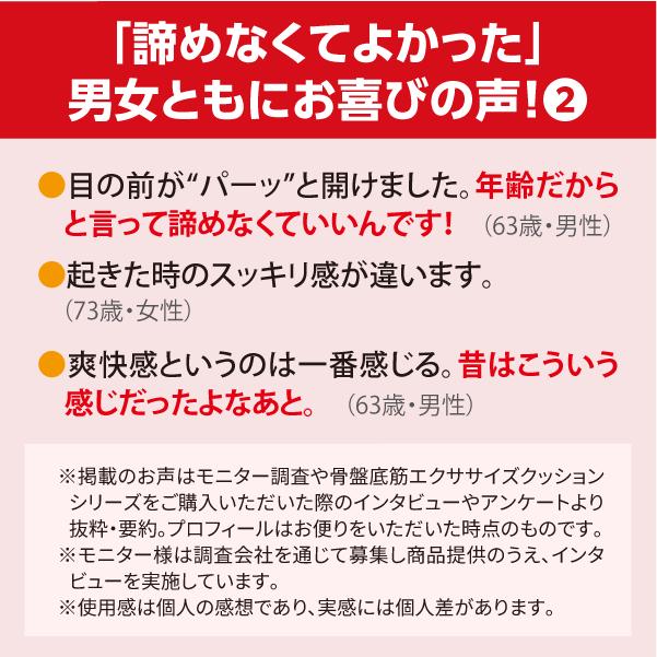 メディブル ユーキャンオリジナル 温熱機能付き 音声ガイド付き 楽らく振動クッション 骨盤底筋エクササイズ ユーキャン通販 ユーキャンの通販 |  | 12
