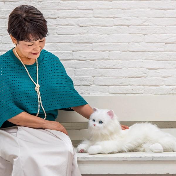 しっぽふりふり あまえんぼうねこちゃん 送料無料 ねこのペット 本物みたい ふれあい機能 認知症 高齢者 老人 癒し Dhb1u ココチモ Yahoo ショッピング店 通販 Yahoo ショッピング