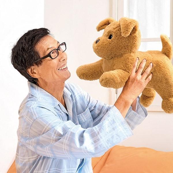 おしゃべり　ダッキー☆スター 楽天市場】おしゃべりダッキー ダッキースター 当社オリジナル