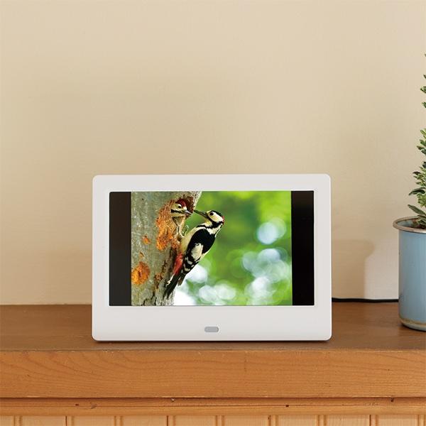 キヤノン 望遠鏡型カメラ コンパクト デジタルフォトフレーム  旅行 運動会 スポーツ観戦  望遠撮影 送料無料 |  | 01