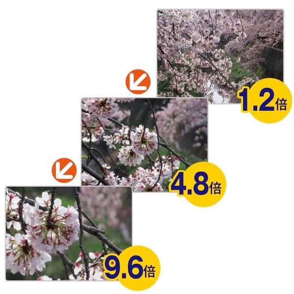 キヤノン 望遠鏡型カメラ コンパクト デジタルフォトフレーム  旅行 運動会 スポーツ観戦  望遠撮影 送料無料 |  | 05