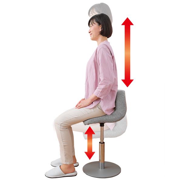 ミズノ 健康運動チェア プレミアム 送料無料 運動 筋トレ 楽 スクワット できる 太もも お尻  チェア | MIZUNO | 02