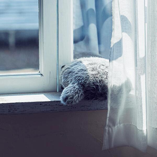 しっぽクッションPetit Qoobo（プチ・クーボ） クッション 癒やし 癒やしのパートナー プチサイズ お出かけ 送料無料 |  | 15