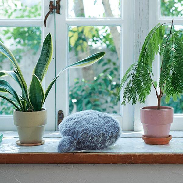 しっぽクッションPetit Qoobo（プチ・クーボ） クッション 癒やし 癒やしのパートナー プチサイズ お出かけ 送料無料 |  | 07