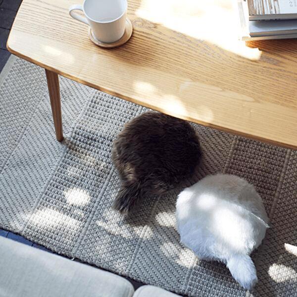 しっぽクッションPetit Qoobo（プチ・クーボ） クッション 癒やし 癒やしのパートナー プチサイズ お出かけ 送料無料 |  | 09