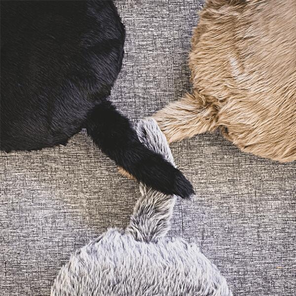 しっぽクッションQoobo（クーボ）クッション 癒やし  癒やしのパートナー 3色　抱き心地 送料無料 |  | 11